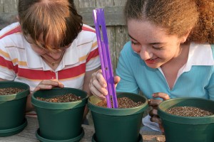 two young girls working together on a science project, planting seeds.